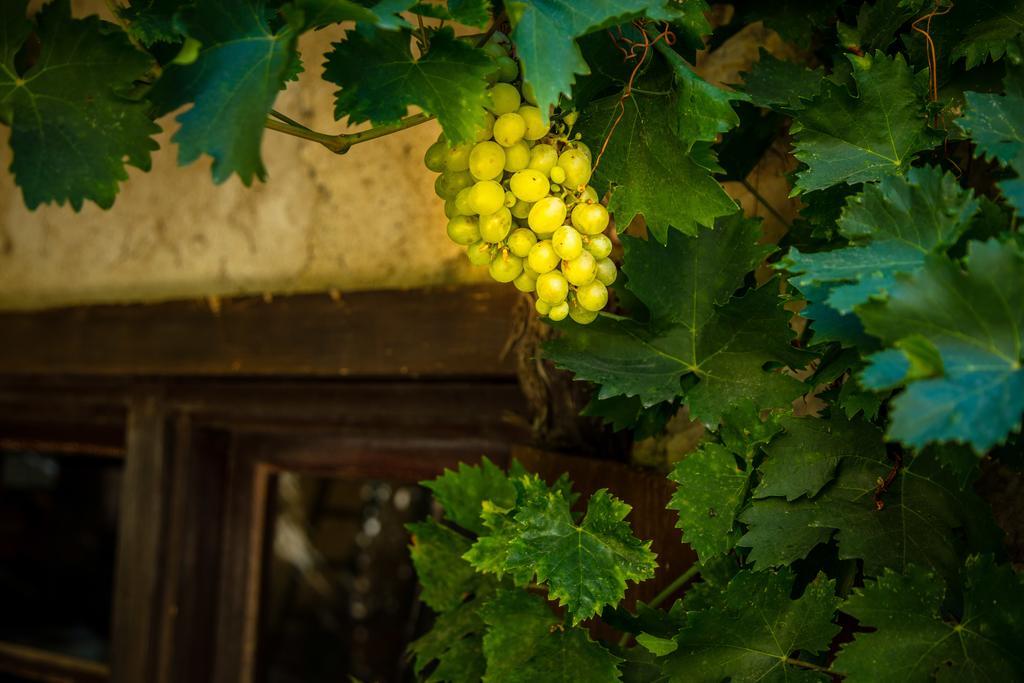 Chateau Le Bouis 그륏상 외부 사진